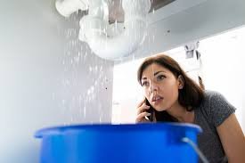 Professional Emergency Plumbers in Fairfax County, VA