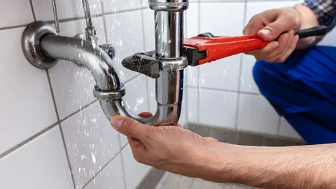 Professional Leak Repair Services in Fairfax County, VA